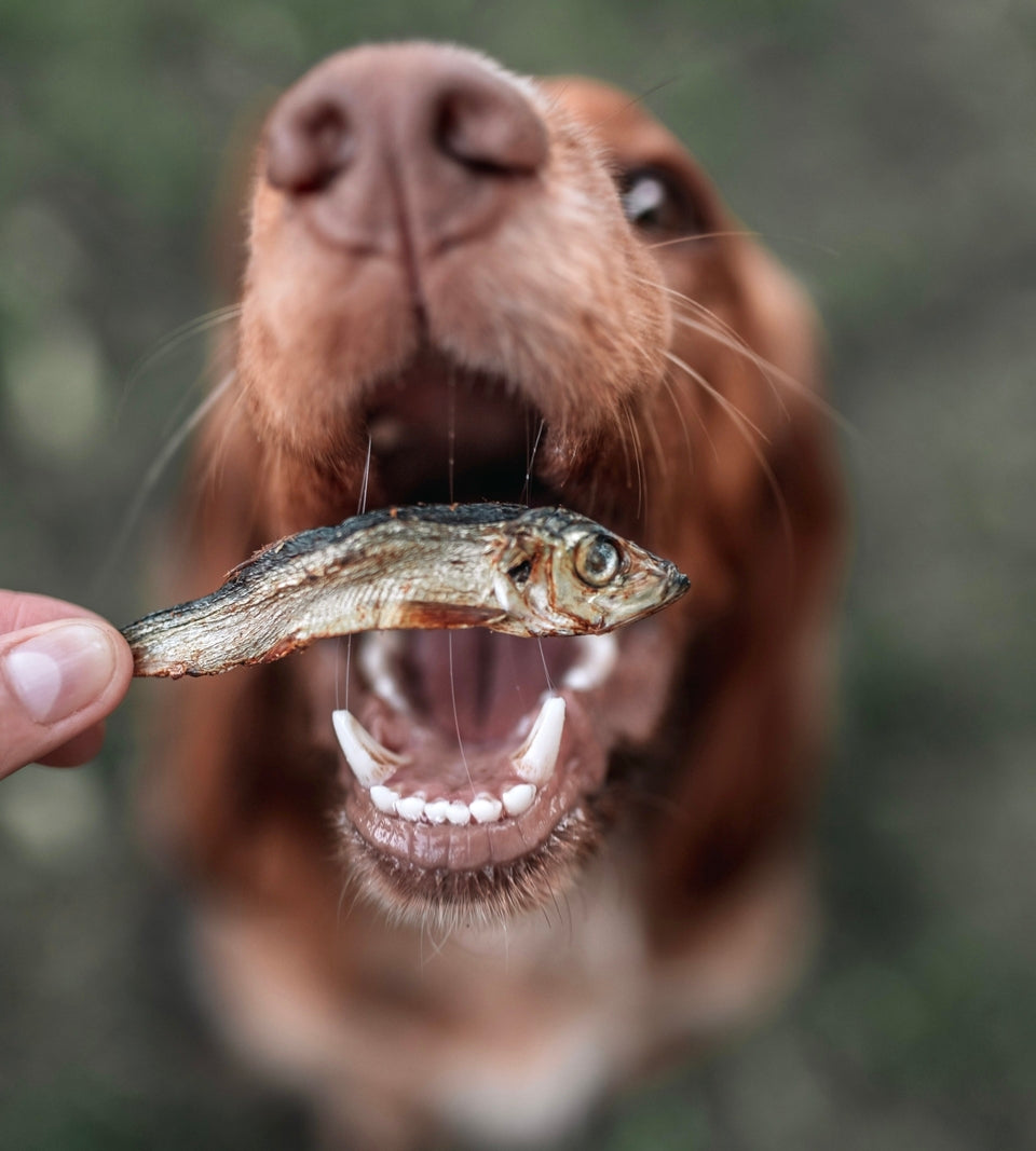 Dried Sprats 100g