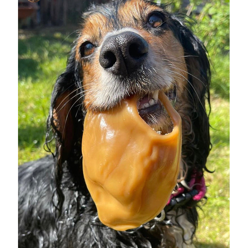 Peanut Butter Flavoured Pigs Ears