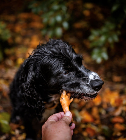 Chicken Feet