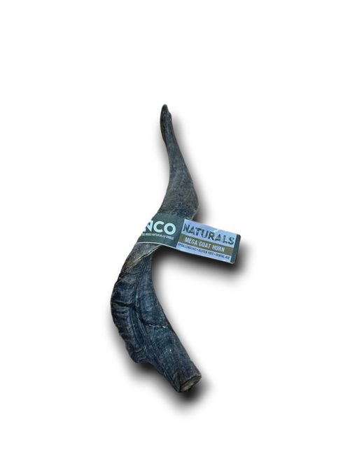 Mega Goat Horn