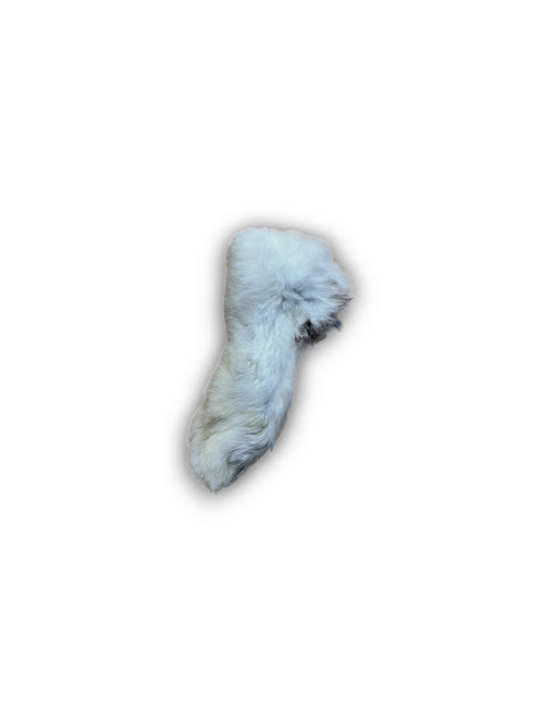 Hairy Rabbit Foot