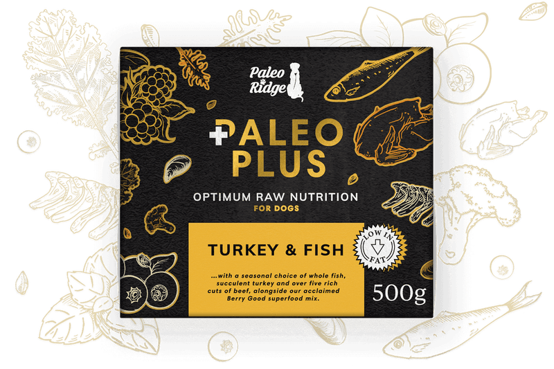 Paleo Ridge Paleo Plus Turkey and Fish 500g (95/5)