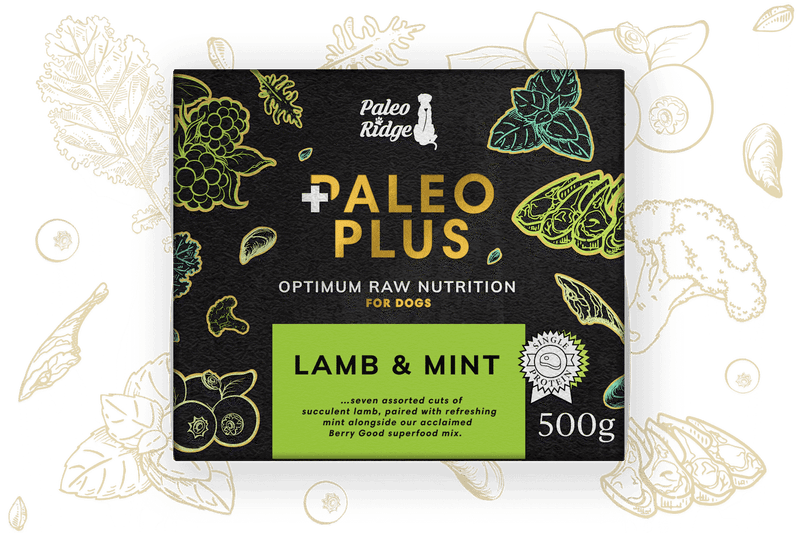 Paleo Ridge Paleo Plus Lamb and Mint 500g (95/5)