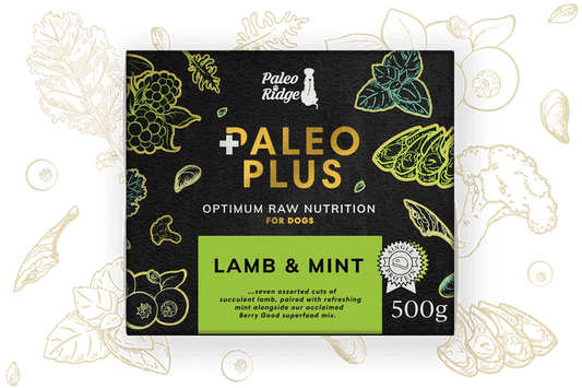 Paleo Ridge Paleo Plus Lamb and Mint 500g (95/5)