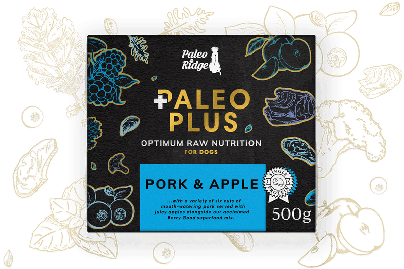 Paleo Ridge Paleo Plus Pork and Apple 500g (95/5)