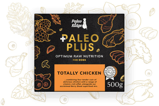 Paleo Plus Totally Chicken 500g (95/5)