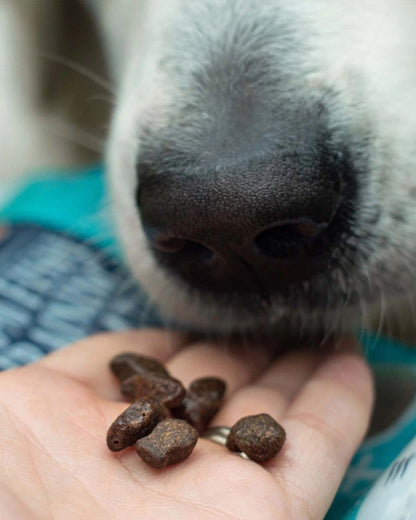 Skippers Dog & Puppy Training Treats